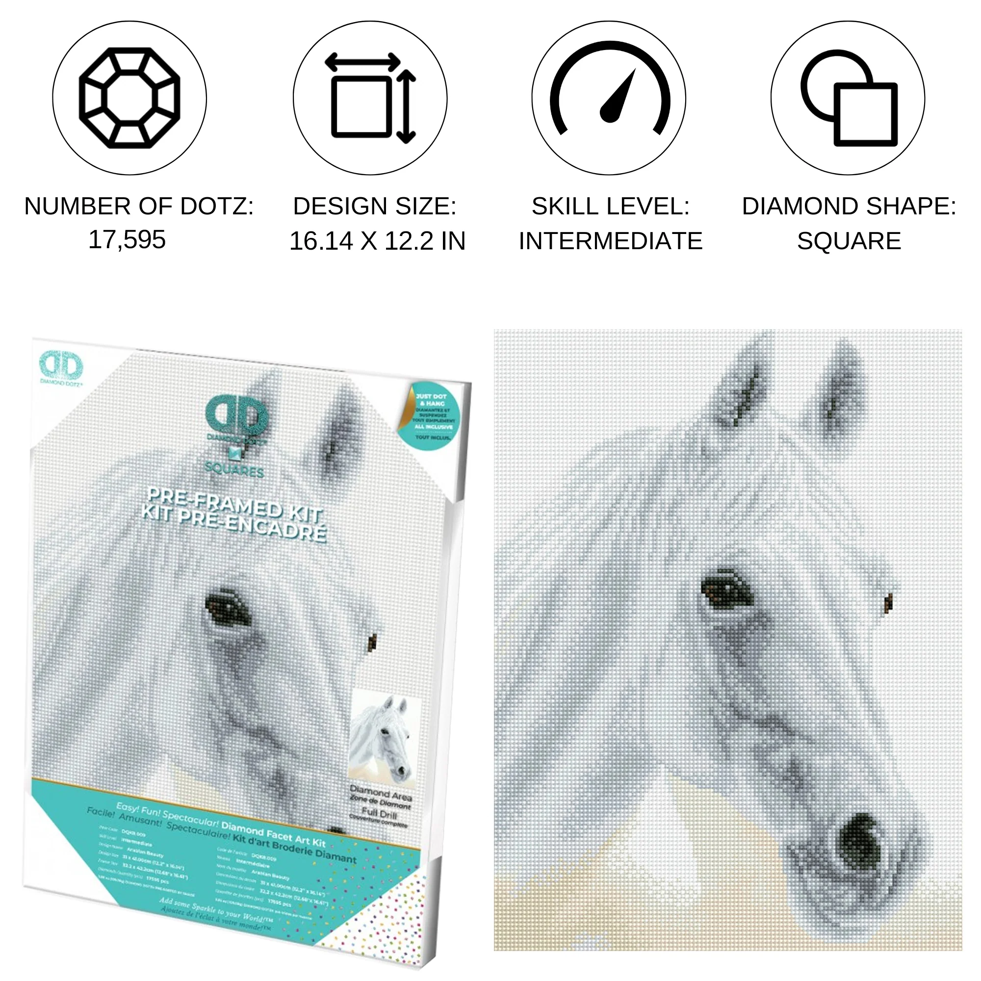 Diamond Dotz Arabian Beauty Pre-Framed Kit - 12.2" x 16.1" - Image 3