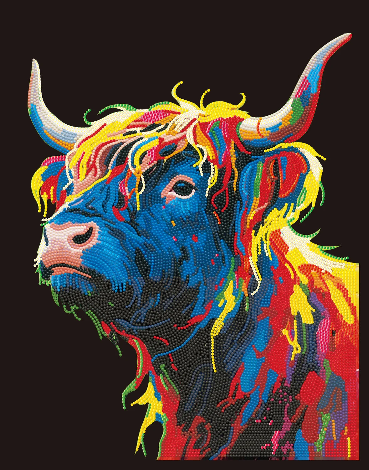 Highland Cow - Image 7