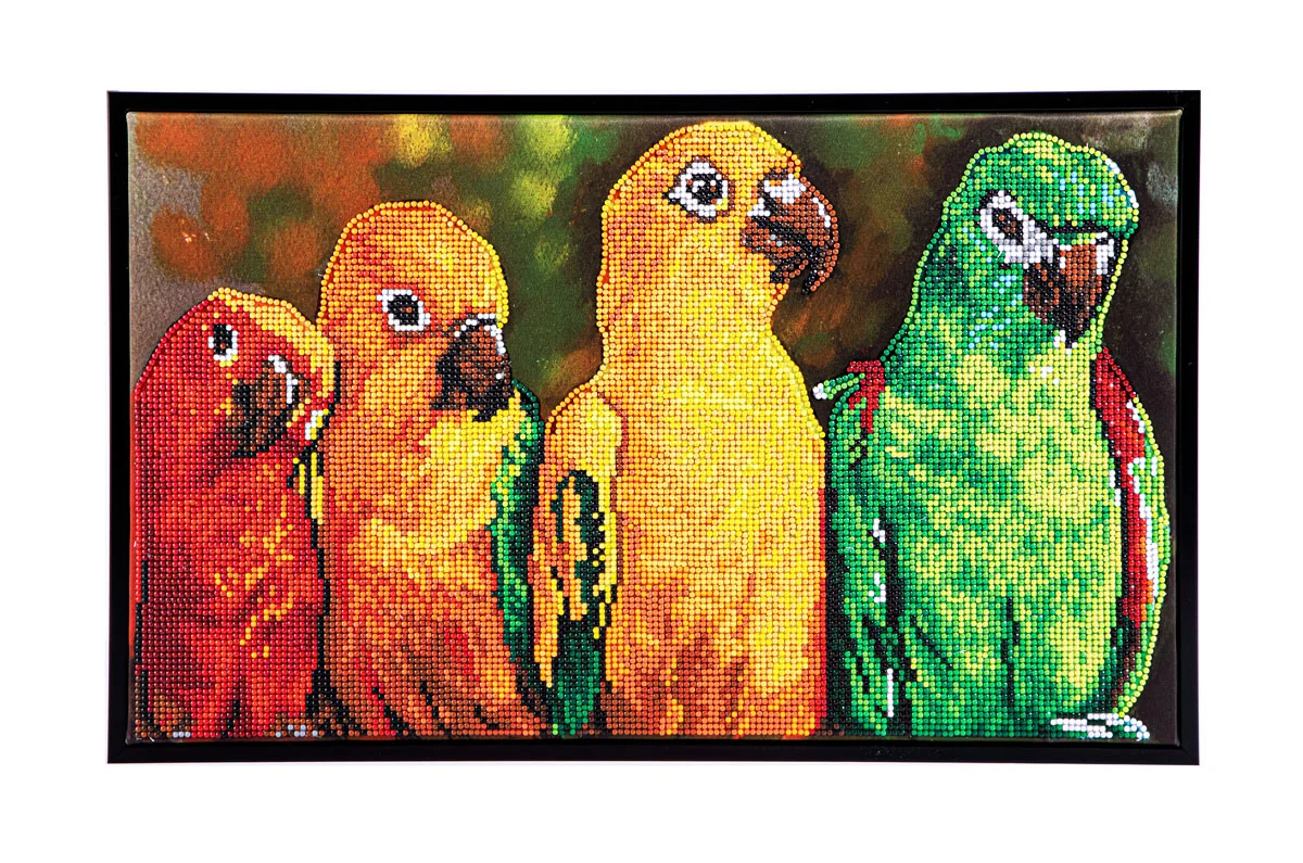 Parrots - Image 4