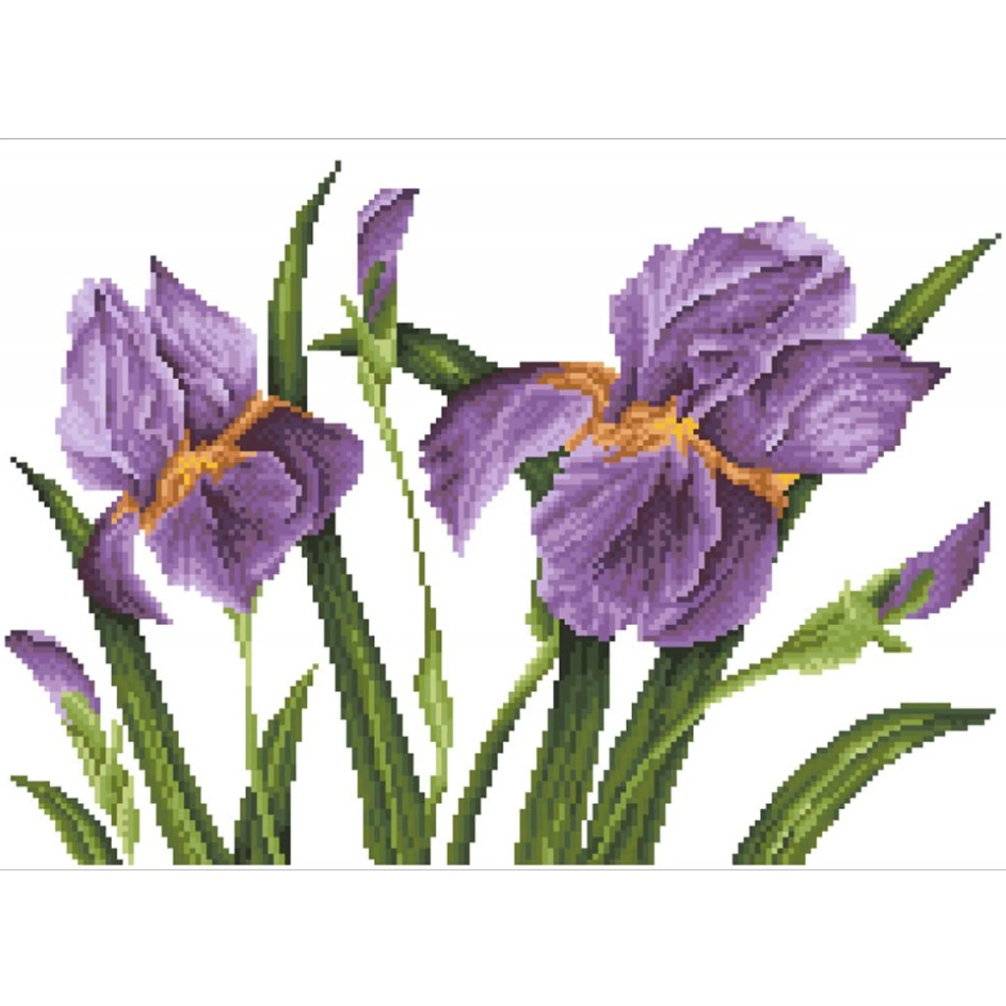 Diamond Dotz Iris Sunset - 20.5" x 14.6" - Image 5