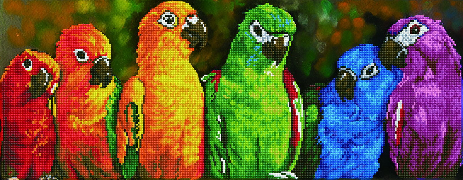 Diamond Dotz Rainbow Parrots - 30.3" x 11.8"