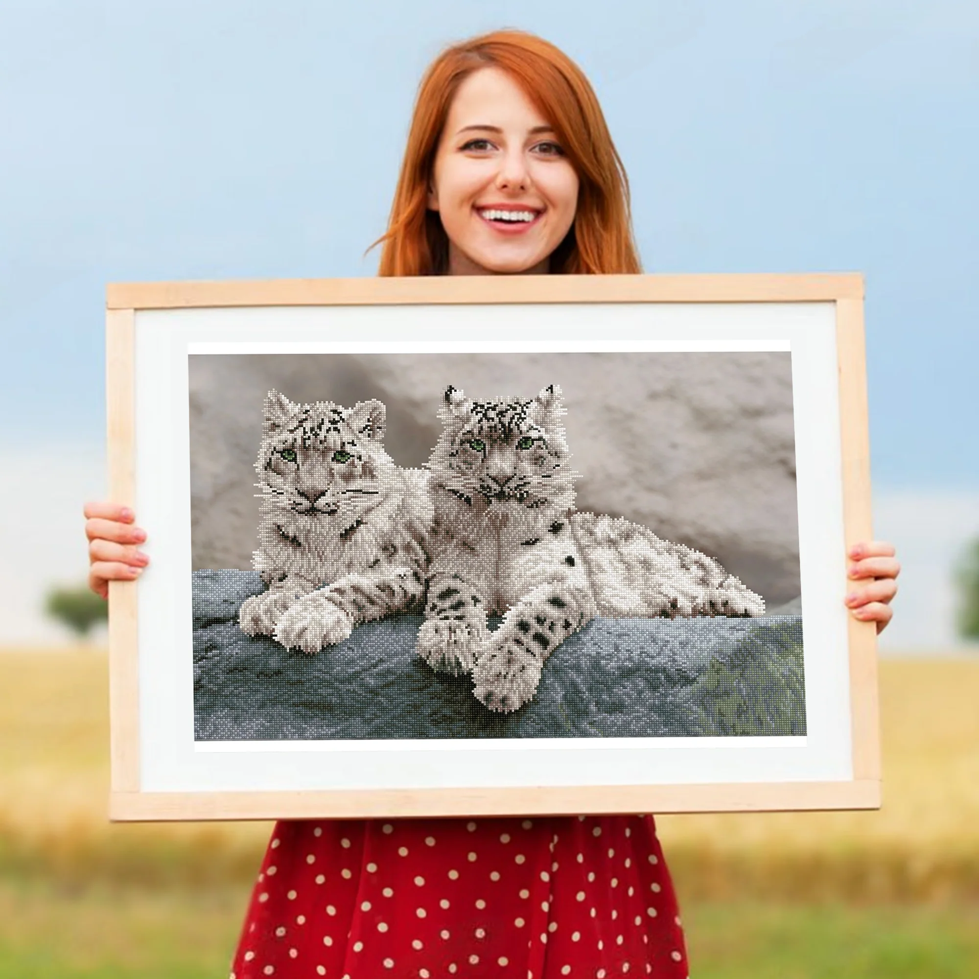 Diamond Dotz Snow Leopards Hemis National Park - 29.5" x 19.7" - Image 4