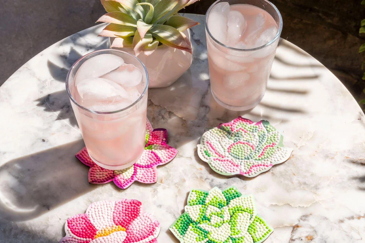 Succulents Coasters - Image 5